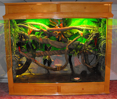 image-683172-NJ_Jungle400.jpg