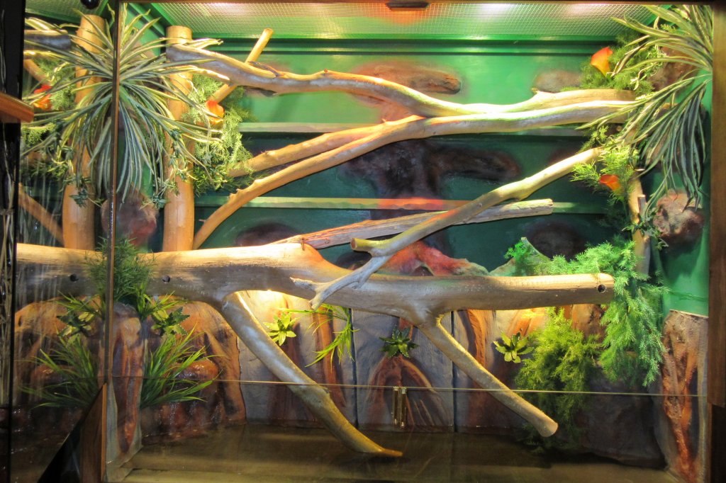 huge reptile enclosure
