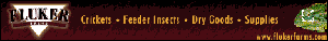 image-682928-flukerban.gif