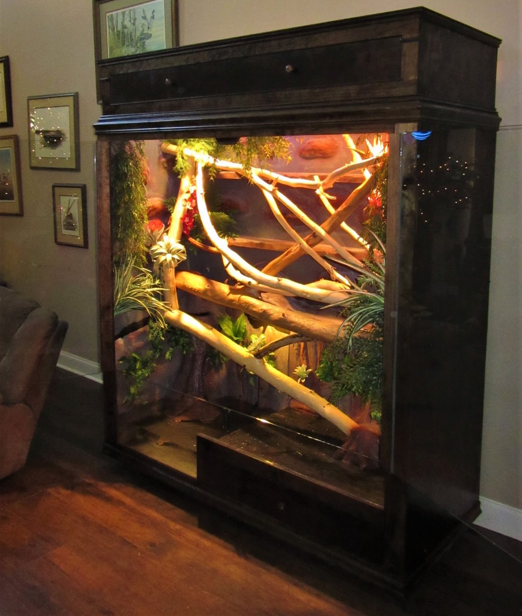 Custom Reptile Cages | Jworlds - www.jworlds.net